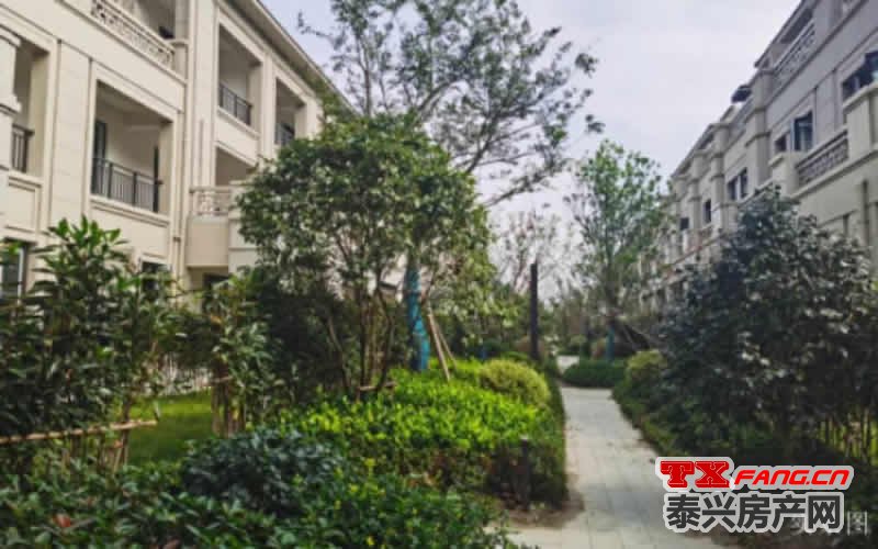 泰兴叠墅在售盘点(图2)