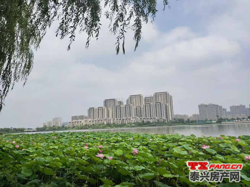 泰兴叠墅在售盘点(图1)