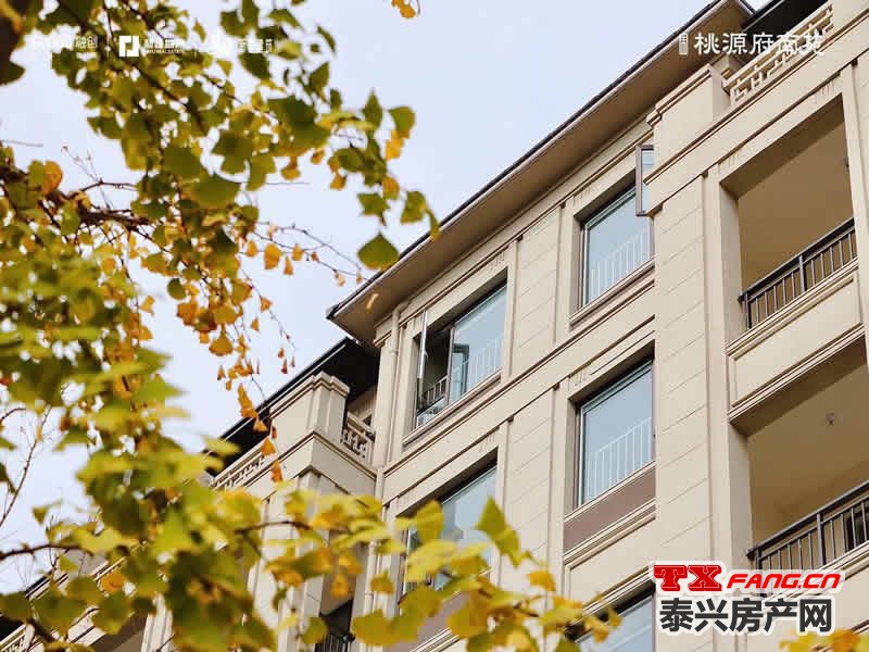 泰兴叠墅在售盘点(图3)