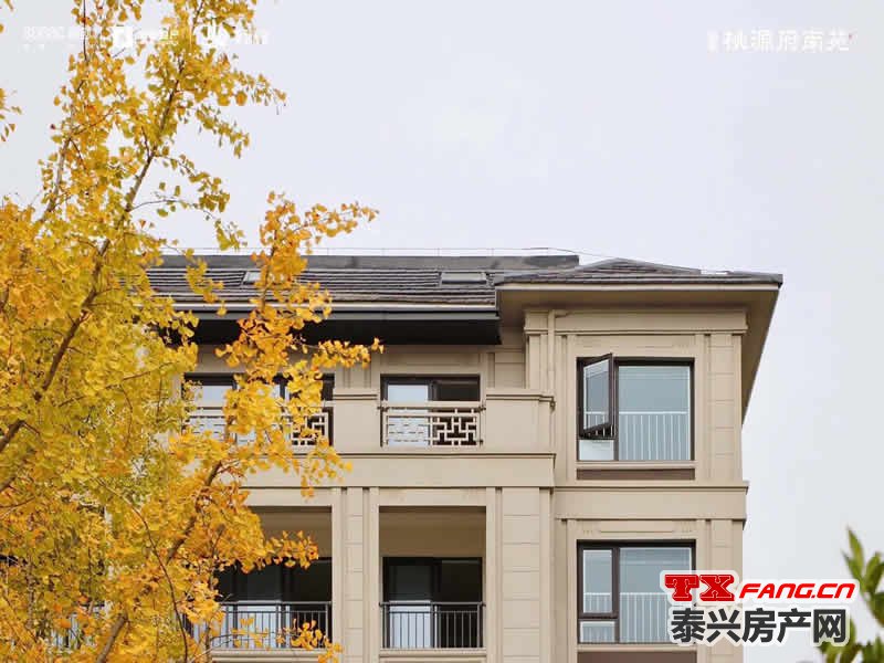 泰兴在售叠墅一览(图2)